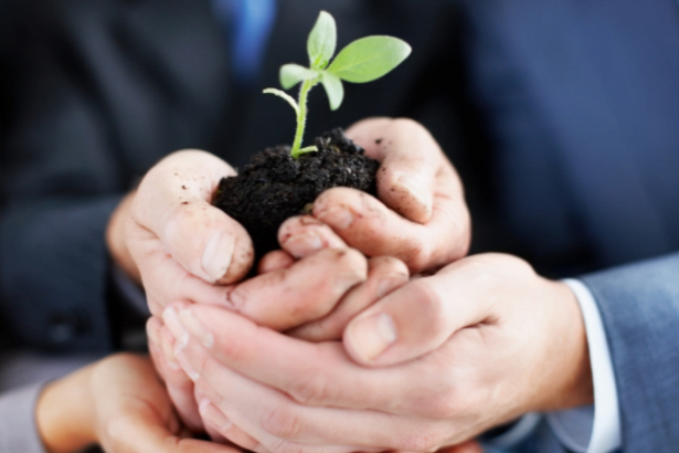 Eloizo Gomes Afonso Durães