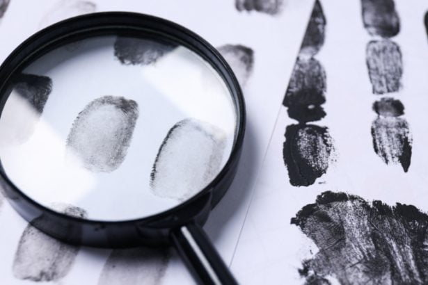 Eloy de Lacerda Ferreira