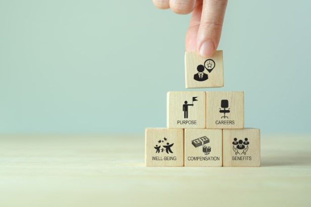 SUDU Tecnologia Educacional LTDA