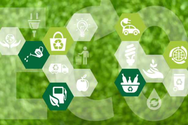 Bruno Garcia Redondo