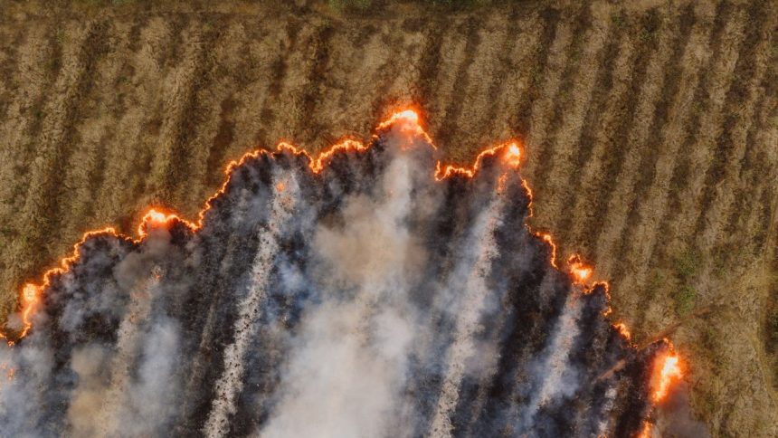 Fogo se espalha por uma área seca de vegetação, visto de cima.